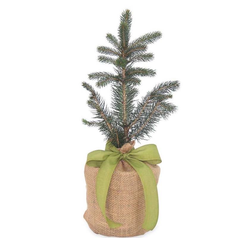 Live Potted Evergreen Trees in Burlap Gift Bag - Colorado Blue Spruce